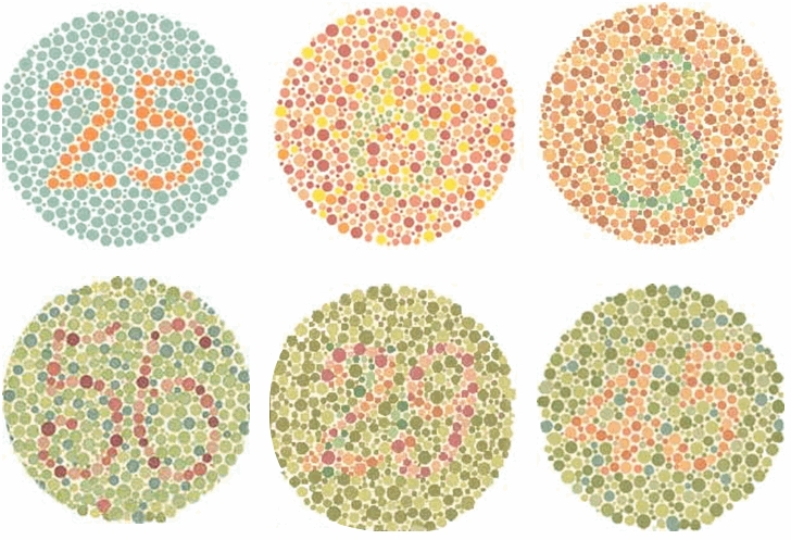  Ishihara Farbtafeln: Rot-Grün-Schwäche Test in Form von bunten Kreisen, auf welchen Zahlen abgebildet sind