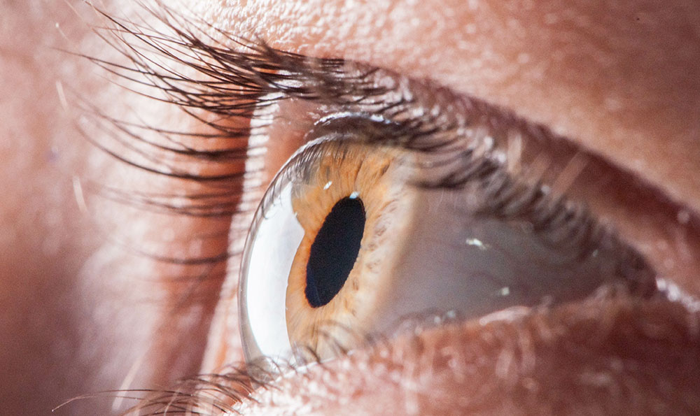 Nahaufnahme eines braunen Auges mit langen Wimpern