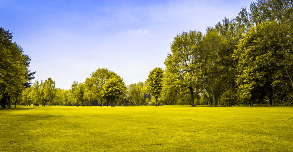 Wiese mit Bäumen. Seheindruck einer Person mit Rotblindheit.