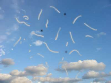 Eine starke Mouches Volantes in Form von grauen fliegenden Mücken und schwarzen Punkten vor blauem Himmelshintergrund